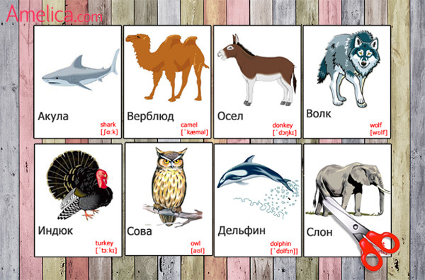 карточки животные на английском языке, игры про животных