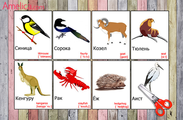 карточки животные на английском языке, игры про животных