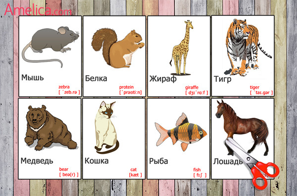 картинки животных для детей скачать бесплатно, карточки животные на английском языке