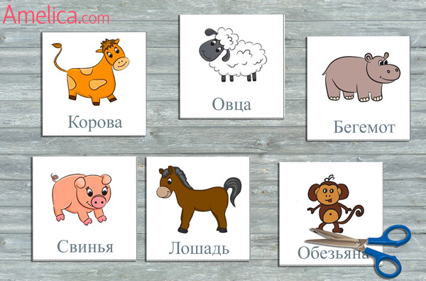 детские картинки с животными, развивающие карточки животные