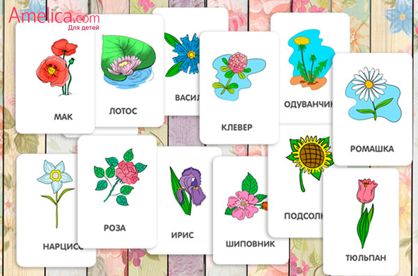 картинки для детей распечатать, развивающие карточки цветы для детей 1,2,3,4 года