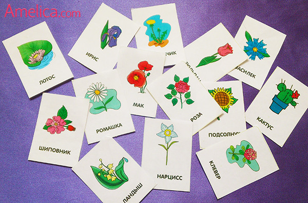 детские картинки для детей распечатать, развивающие карточки цветы для детей 1,2,3,4 года