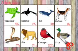 картинки животных для детей скачать бесплатно, карточки животные на английском языке