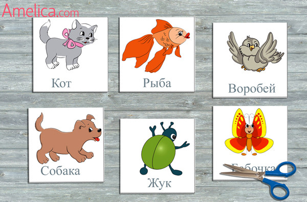 детские картинки с животными, развивающие карточки животные