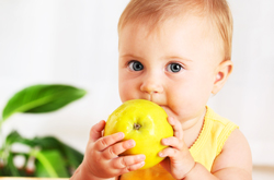 здоровое питание для детей, простые правила правильного питания ребенка